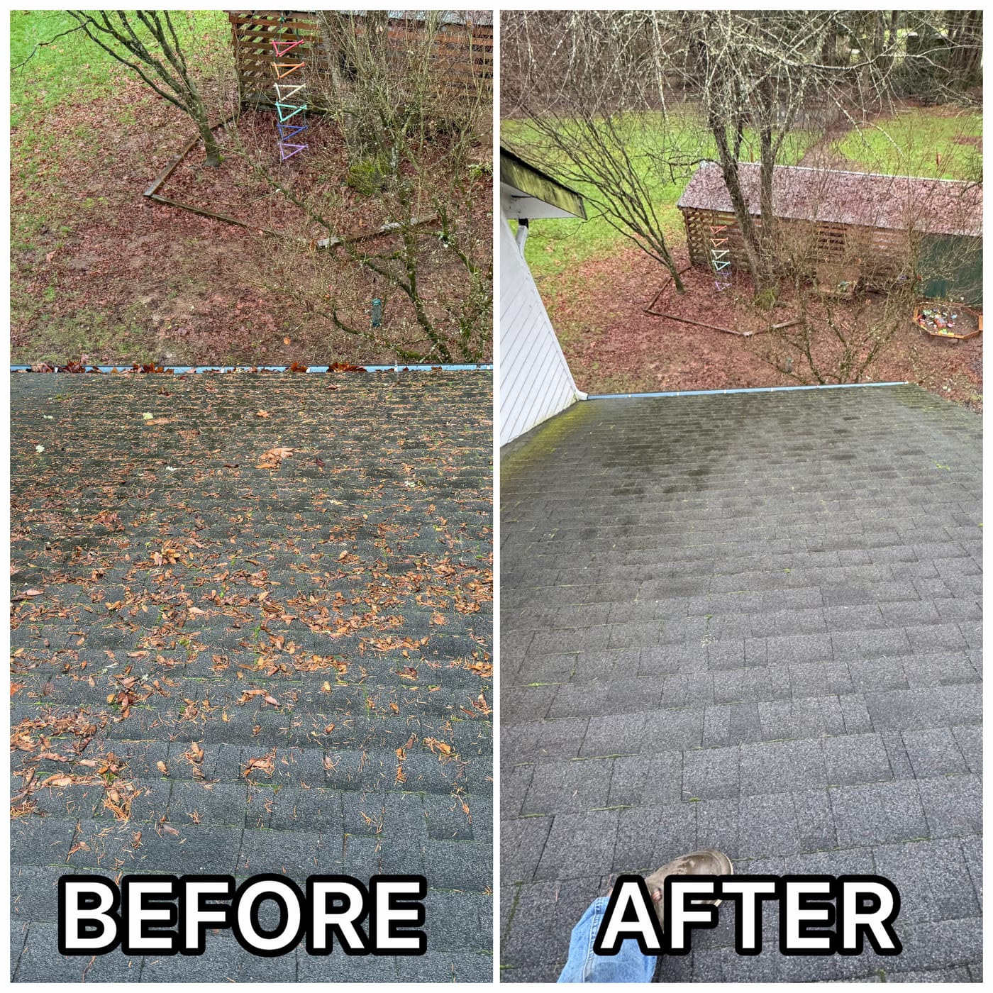 Before and after roof soft washing in Snohomish County — a leaf-covered, moss-stained asphalt roof cleared back to clean shingles