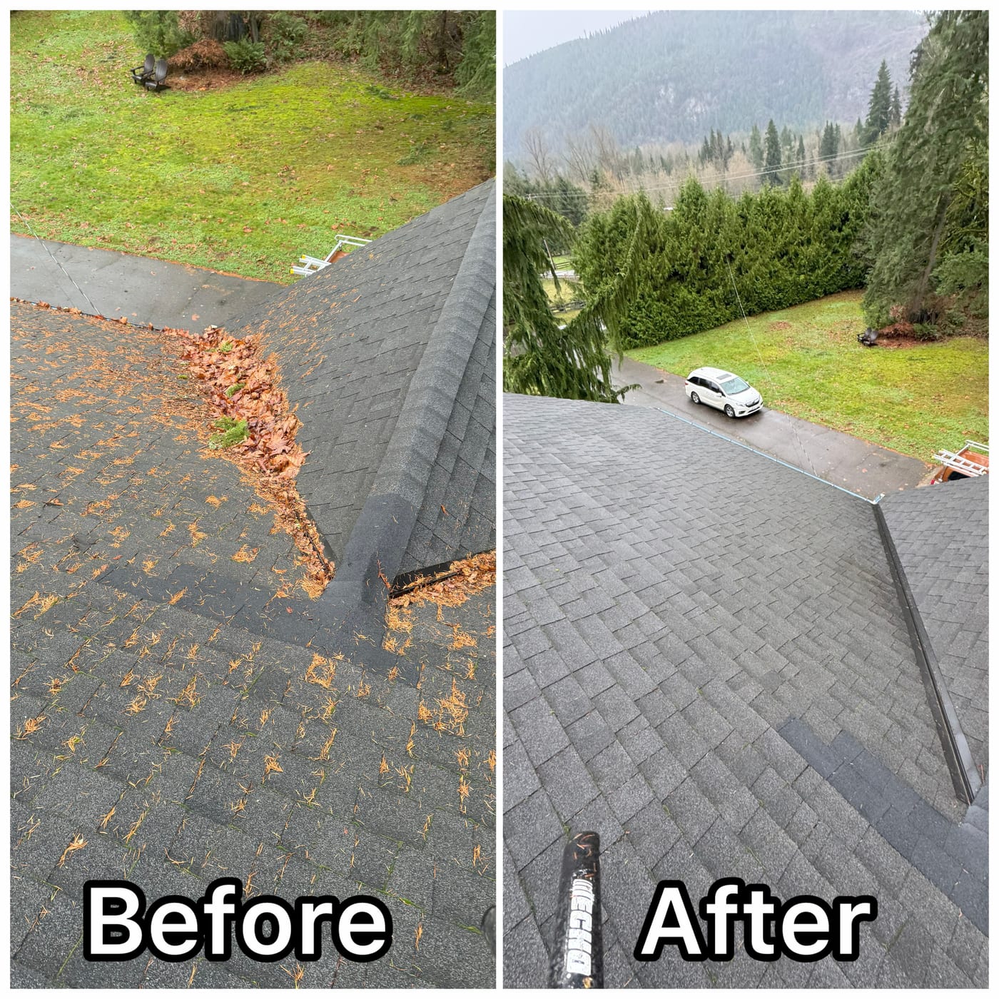 Before and after roof cleaning near the Mountain Loop — pine needles and moss along the valley removed with a low-pressure soft wash