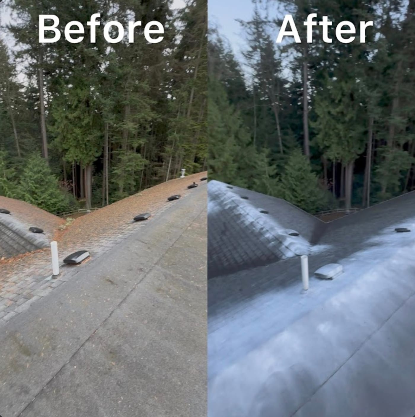 Before and after roof soft wash on a low-slope roof valley — heavy pine-needle buildup rinsed to a clean finish