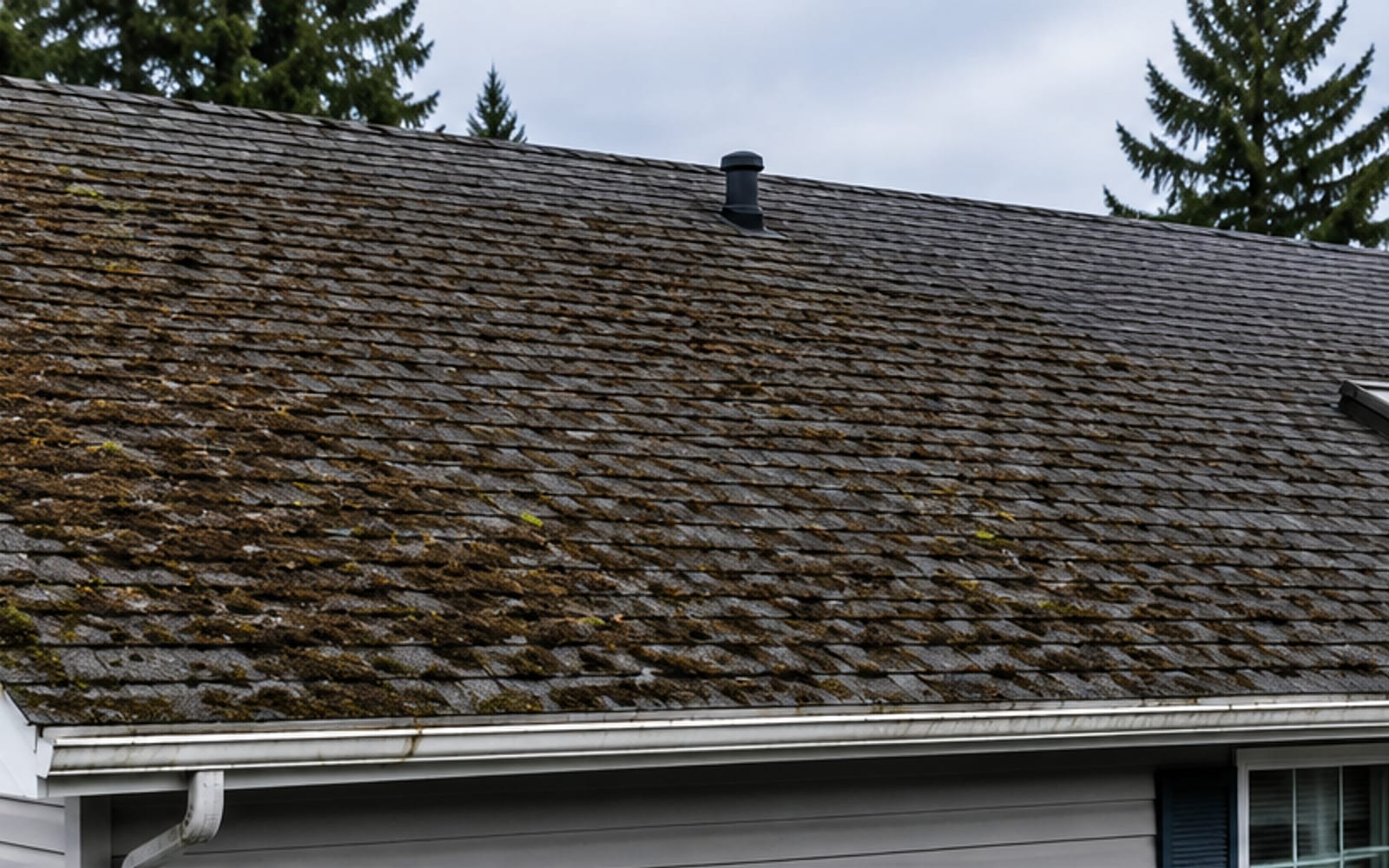 Mossy, streaked roof before soft washing